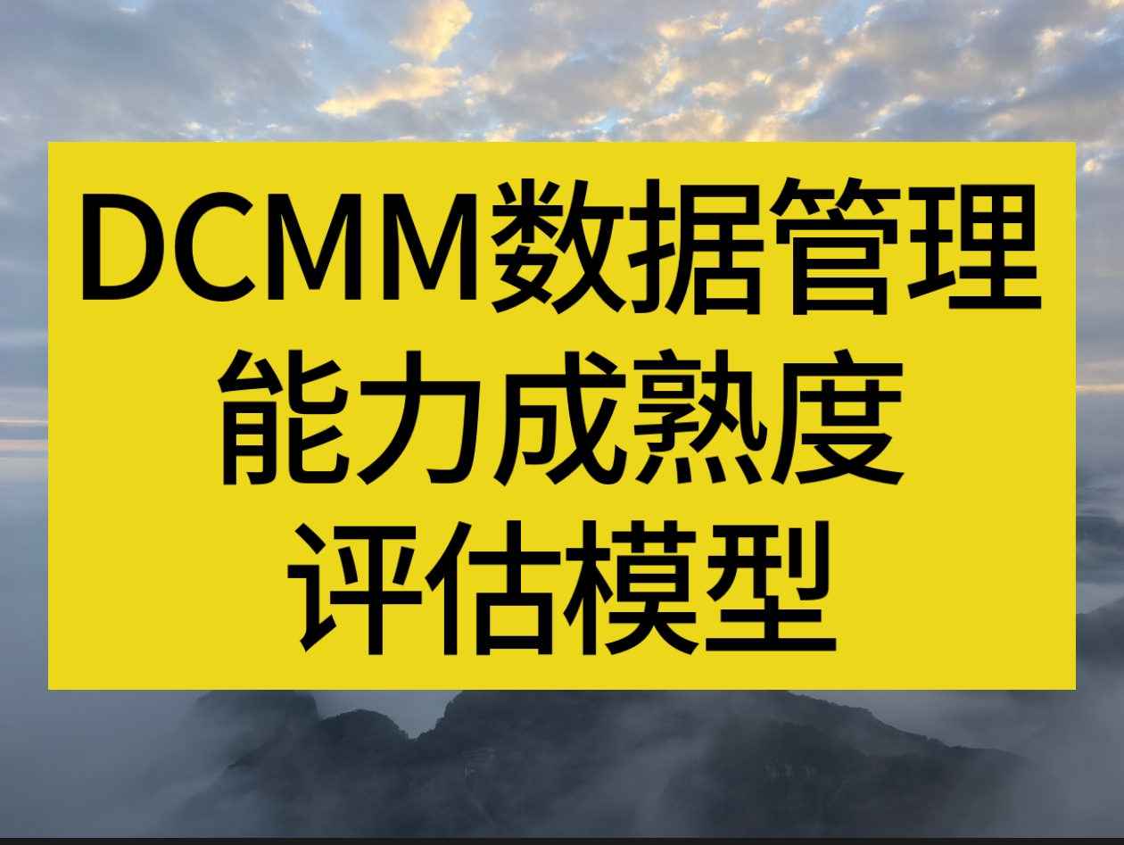DCMM数据管理能力成熟度评估模型（二级/三级）